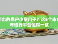 新出的黑户小贷口子？这5个末成年借钱平台值得一试