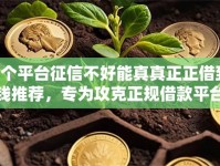 9个平台征信不好能真真正正借到钱推荐，专为攻克正规借款平台有哪些难题
