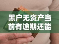 黑户无资产当前有逾期还能申请贷款吗？真实渠道深度解析