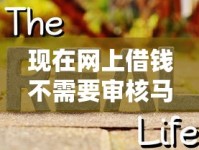 现在网上借钱不需要审核马上借的是什么？揭秘真相与风险提示
