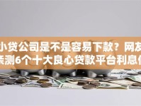 小贷公司是不是容易下款？网友亲测6个十大良心贷款平台利息低一点盘点