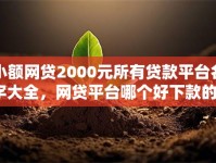 小额网贷2000元所有贷款平台名字大全，网贷平台哪个好下款的5个平台介绍