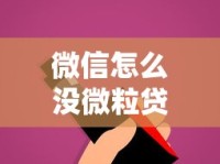 微信怎么没微粒贷入口？原因分析+开通技巧全解析