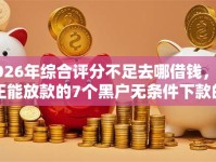 2026年综合评分不足去哪借钱，真正能放款的7个黑户无条件下款的平台推荐