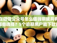 在微信公众号怎么借钱啊拢共有哪些选择？5个逾期黑户能下款的新口子详解