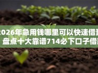 2026年急用钱哪里可以快速借到？盘点十大靠谱714必下口子借款平台