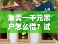 急需一千元黑户怎么借？试试这几个靠谱方法！