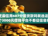芝麻信用607分能贷款吗就选这7个3000元借钱平台不看征信容易通过的