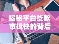 揭秘平台贷款审批快的背后逻辑，这些技术手段你了解吗？