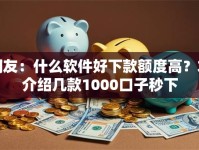 网友：什么软件好下款额度高？求介绍几款1000口子秒下