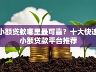 小额贷款哪里最可靠？十大快速小额贷款平台推荐