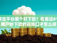 网贷平台哪个好下款？看看这8个黑户秒下款的高炮口子怎么样