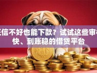征信不好也能下款？试试这些审核快、到账稳的借贷平台