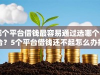 哪个平台借钱最容易通过选哪个平台？5个平台借钱还不起怎么办推荐