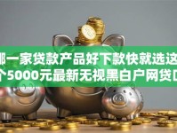 哪一家贷款产品好下款快就选这8个5000元最新无视黑白户网贷口子