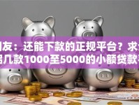 网友：还能下款的正规平台？求介绍几款1000至5000的小额贷款平台