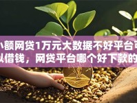小额网贷1万元大数据不好平台可以借钱，网贷平台哪个好下款的6个平台介绍
