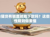 白猫贷有额度就能下款吗？这些隐性规则你要懂