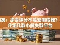 网友：综合评分不足去哪借钱？求介绍几款小微贷款平台