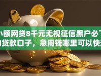 小额网贷8千元无视征信黑户必下的贷款口子，急用钱哪里可以快速借到的8个平台介绍