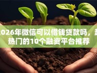 2026年微信可以借钱贷款吗，超热门的10个融资平台推荐