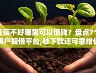 征信不好哪里可以借钱？盘点7个黑户短借平台,秒下款还可靠给你参考