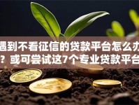 遇到不看征信的贷款平台怎么办？或可尝试这7个专业贷款平台