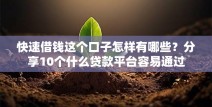快速借钱这个口子怎样有哪些？分享10个什么贷款平台容易通过
