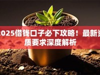 2025借钱口子必下攻略！最新资质要求深度解析