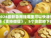 2026最新急用钱哪里可以快速借到（支持微信），5个贷款秒下的口子无私分享