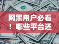 网黑用户必看！哪些平台还能贷款？深度解析正规渠道