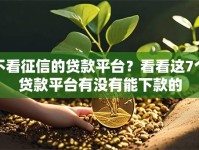 不看征信的贷款平台？看看这7个贷款平台有没有能下款的