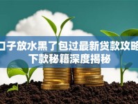 口子放水黑了包过最新贷款攻略 下款秘籍深度揭秘