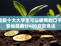 最新十大大学生可以使用的口子，专治芝麻分600贷款免还