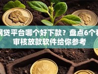 网贷平台哪个好下款？盘点6个秒审核放款软件给你参考