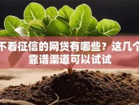 不看征信的网贷有哪些？这几个靠谱渠道可以试试