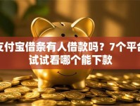支付宝借条有人借款吗？7个平台试试看哪个能下款