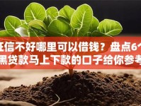 征信不好哪里可以借钱？盘点6个黑贷款马上下款的口子给你参考