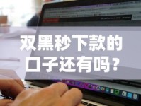 双黑秒下款的口子还有吗？最新攻略解析及避坑指南