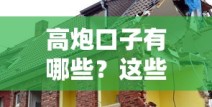 高炮口子有哪些？这些隐藏入口你可能还不知道