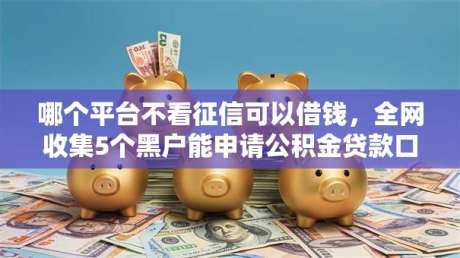 哪个平台不看征信可以借钱，全网收集5个黑户能申请公积金贷款口子