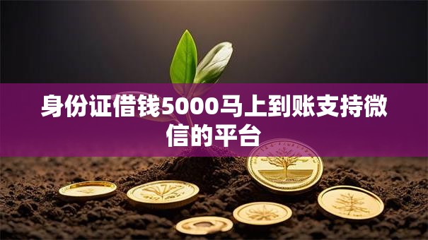 身份证借钱5000马上到账支持微信的平台