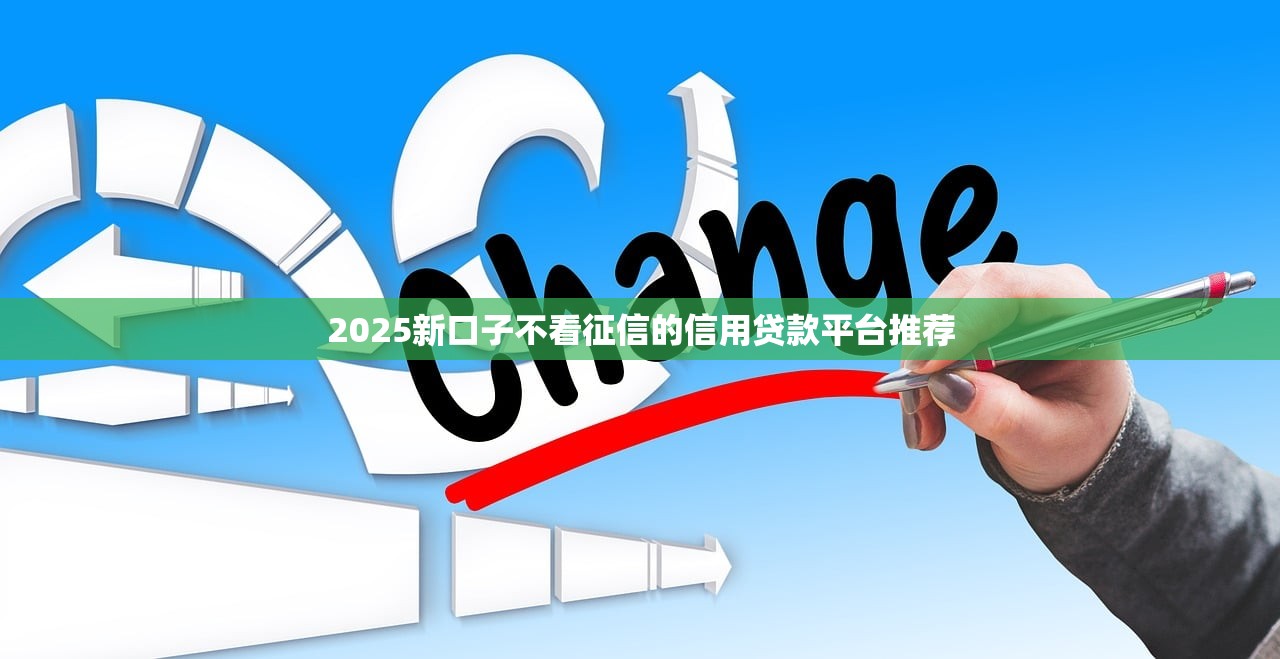 2025新口子不看征信的信用贷款平台推荐