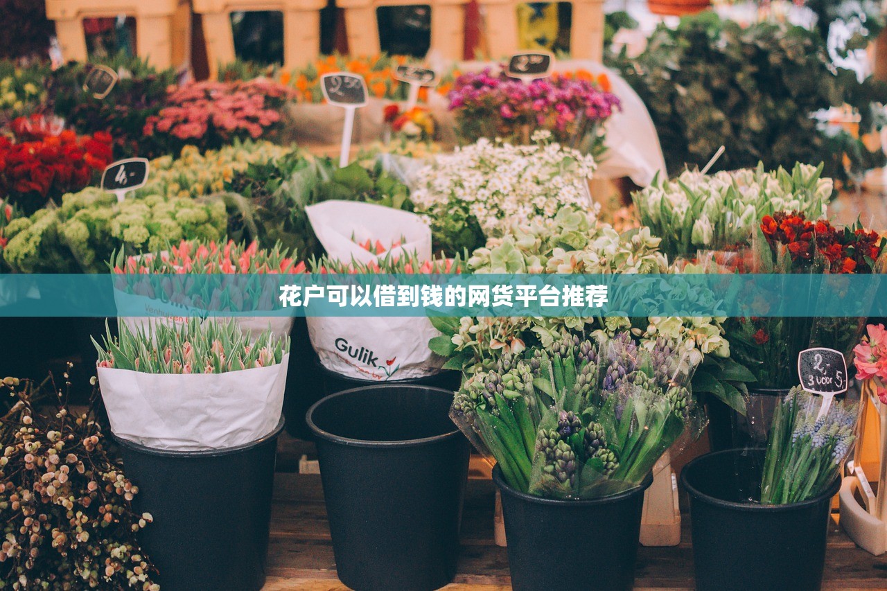 花户可以借到钱的网货平台推荐