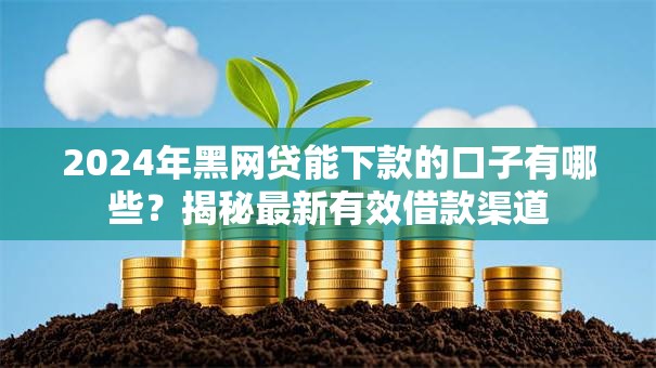 2024年黑网贷能下款的口子有哪些？揭秘最新有效借款渠道
