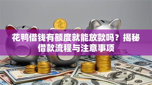 花鸭借钱有额度就能放款吗？揭秘借款流程与注意事项