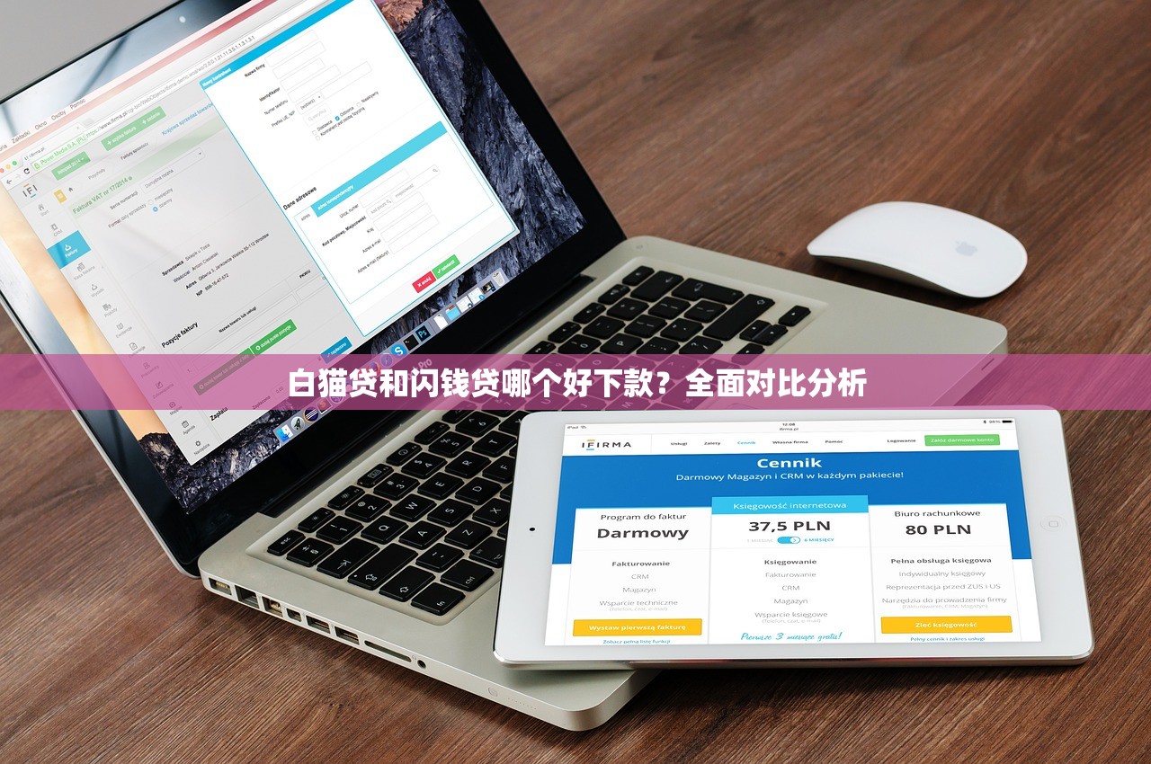 白猫贷和闪钱贷哪个好下款？全面对比分析