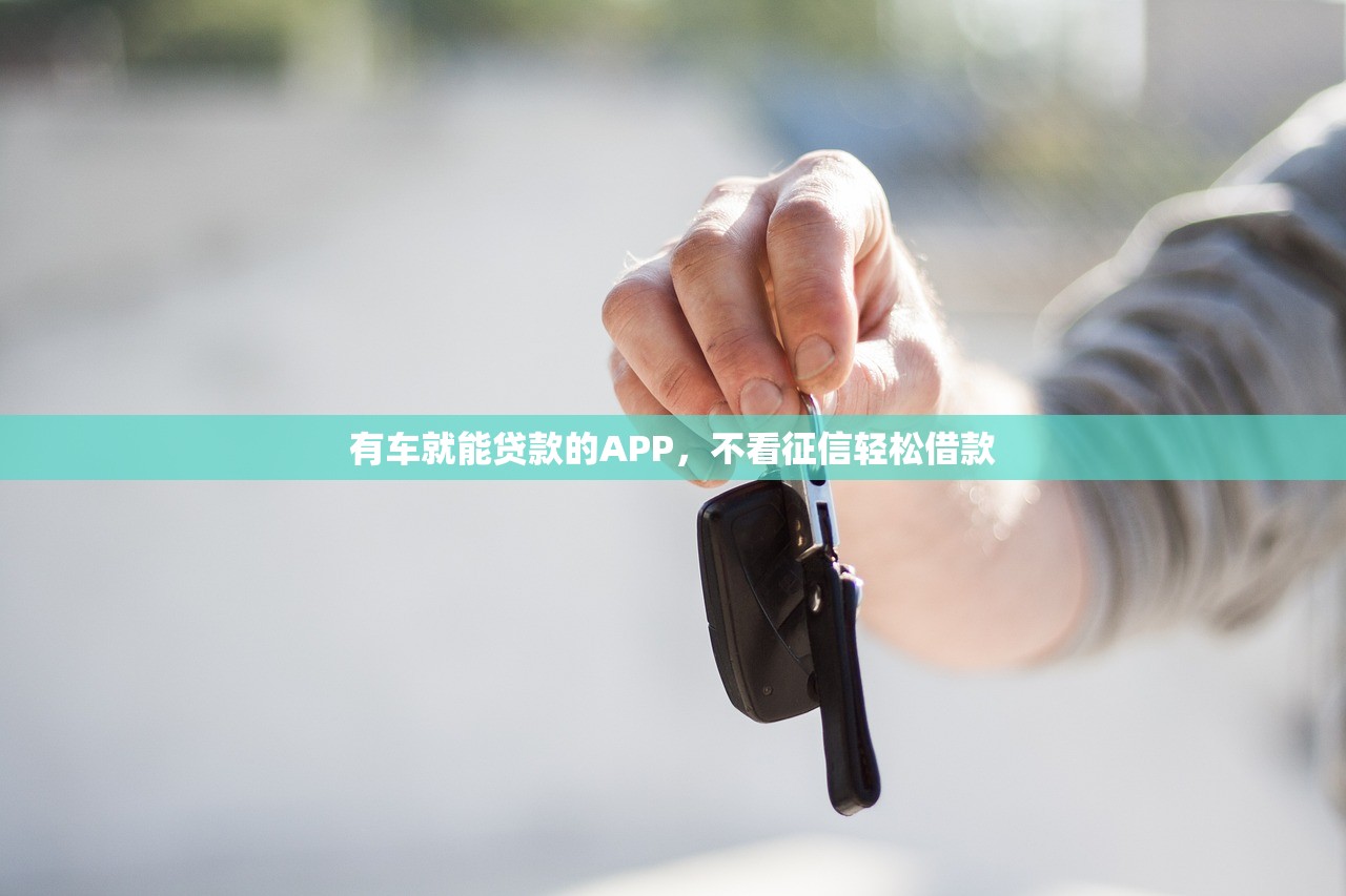 有车就能贷款的APP，不看征信轻松借款