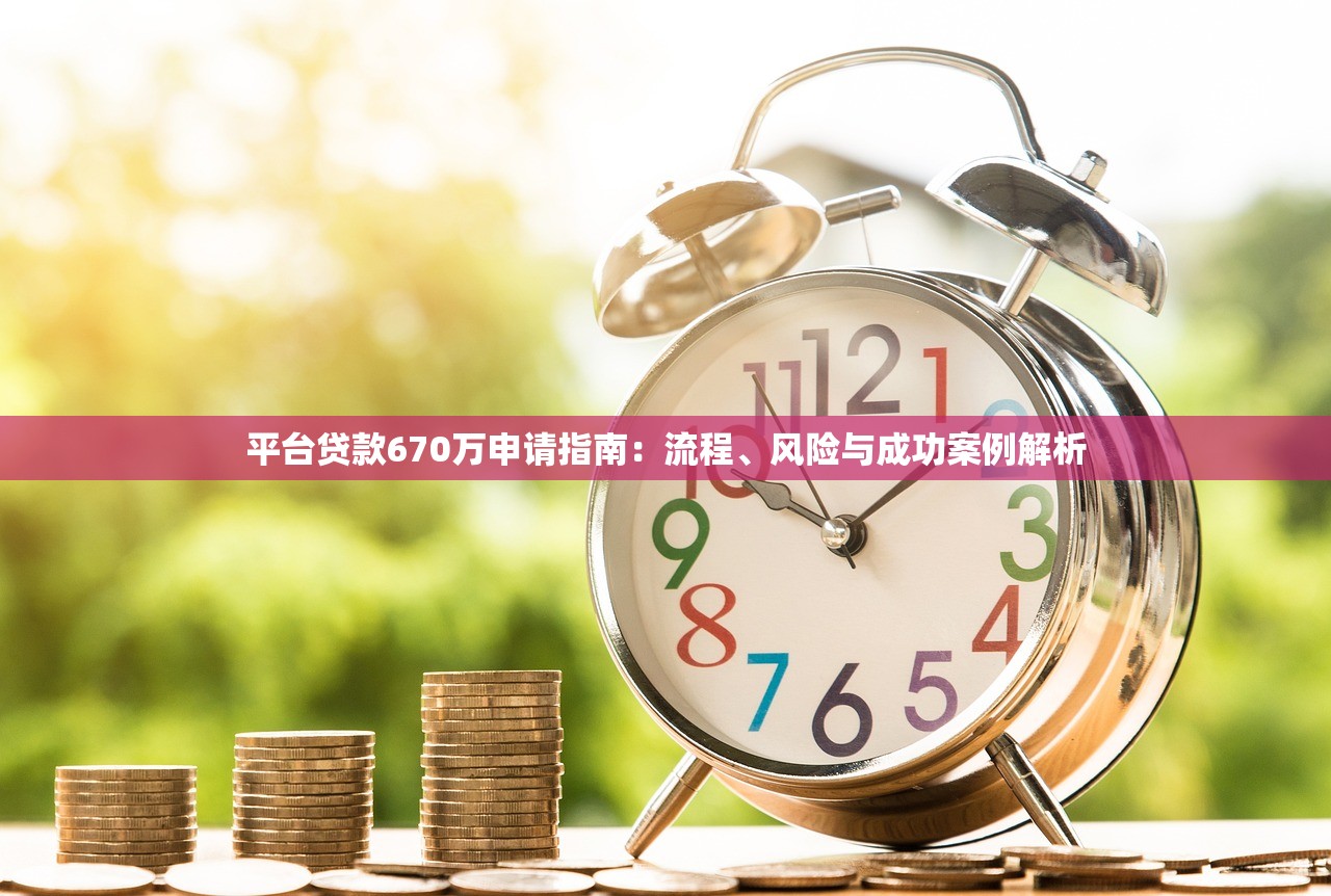 平台贷款670万申请指南：流程、风险与成功案例解析