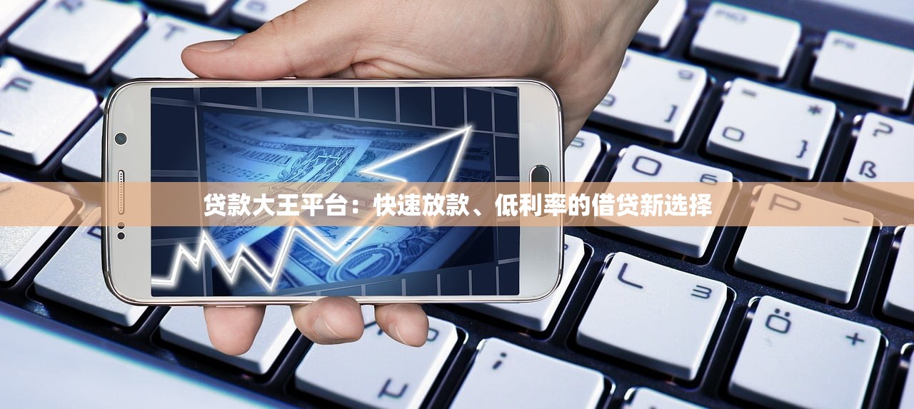 贷款大王平台：快速放款、低利率的借贷新选择